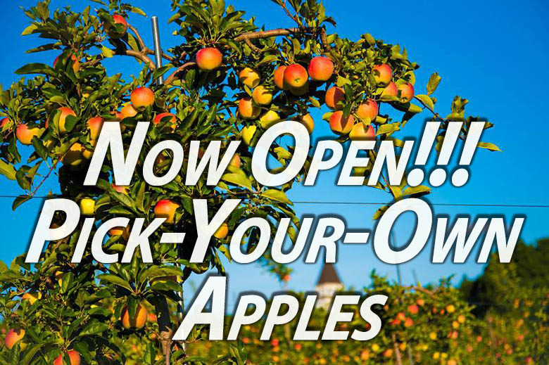 PYO Apples
