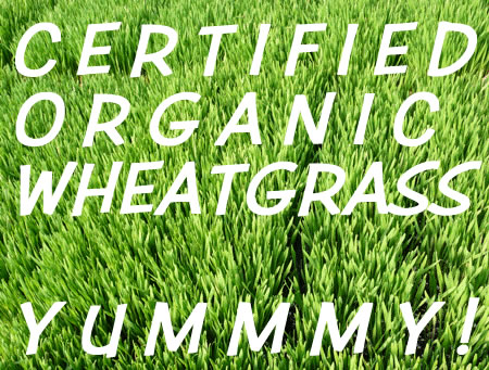 Certified Organic Wheatgrass