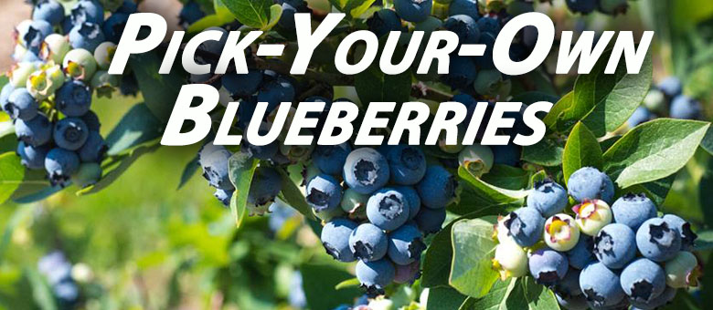 Best Pick Your Own