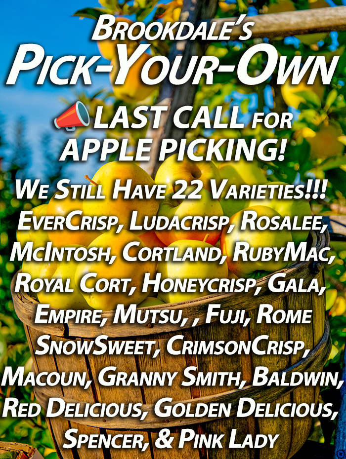 Best Pick Your Own
