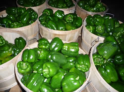 Peppers