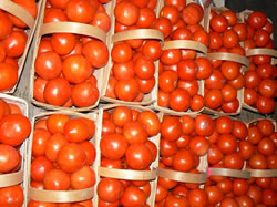 Tomatoes